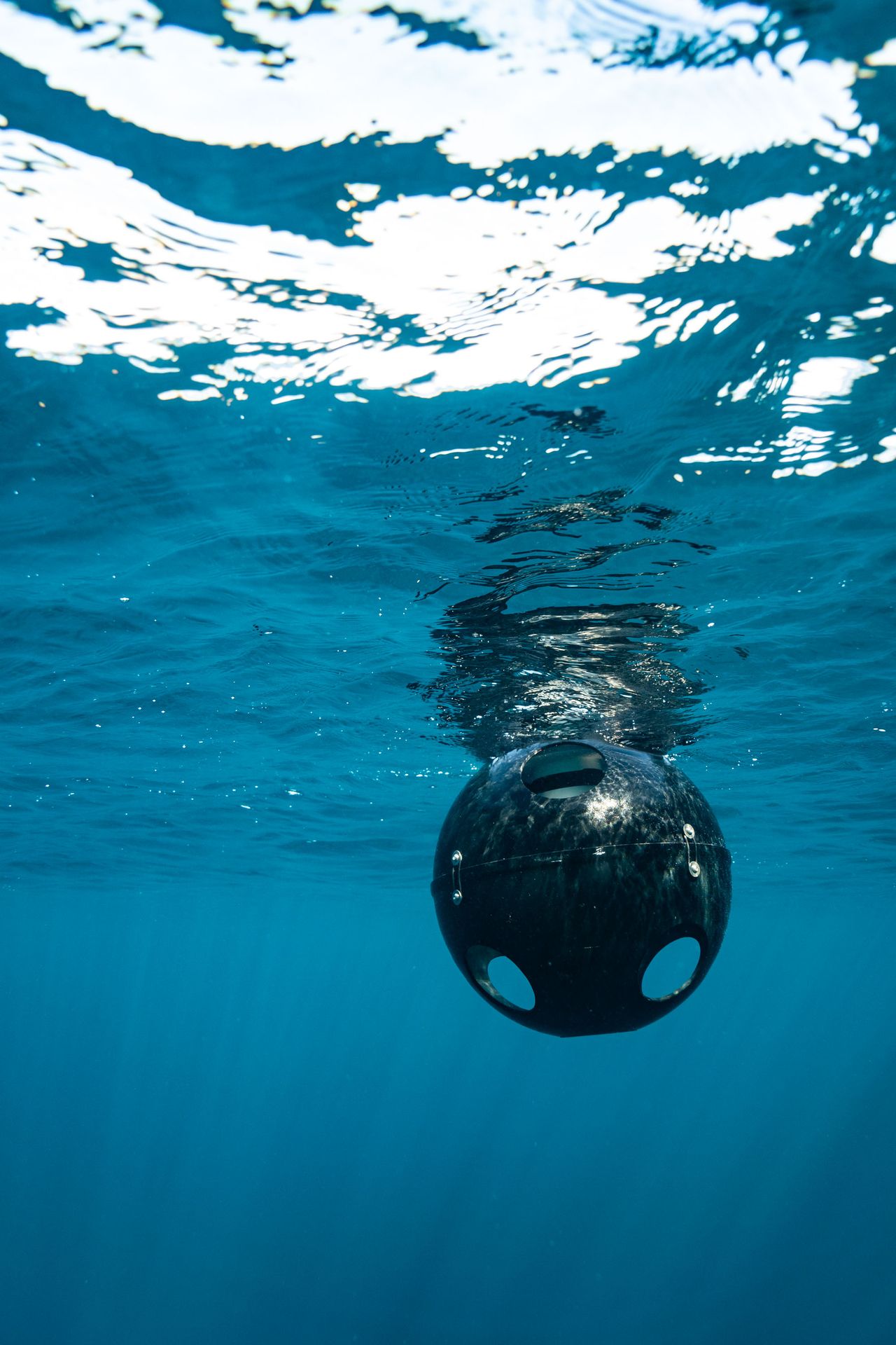 Reef Drifter in shallow coastal water
